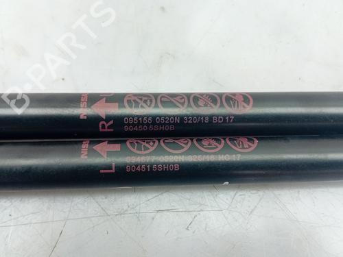 Tailgate lift support NISSAN LEAF (ZE1) Electric | BP17477325C138 
