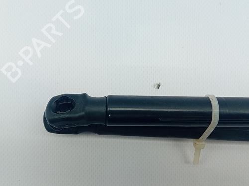 Tailgate lift support MERCEDES-BENZ GLC (X253) 250 d 4-matic (253.909) | BP17524078C138 