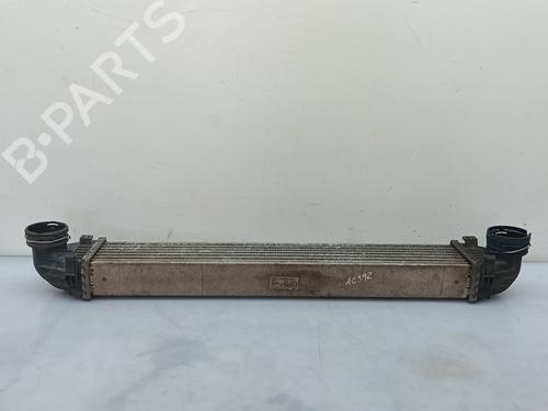 Intercooler MERCEDES-BENZ A-CLASS (W169) A 180 CDI (169.007, 169.307) | BP18027119M30