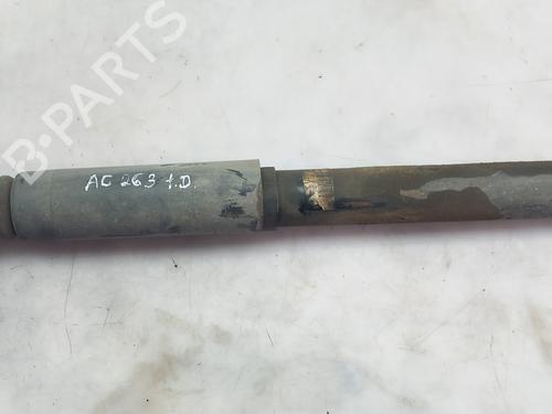 Right rear shock absorber SEAT ALTEA (5P1)  | BP19110066M19 