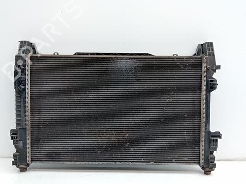 Water radiator MERCEDES-BENZ B-CLASS Sports Tourer (W245)  A1695001604