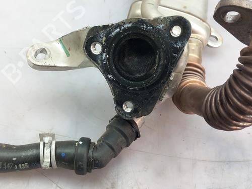 Egr NISSAN MICRA V (K14) 1.5 DCI | BP19132290M69 