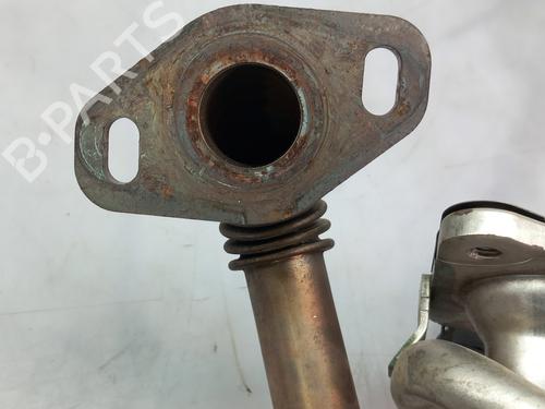 Egr NISSAN MICRA V (K14) 1.5 DCI | BP19132290M69 
