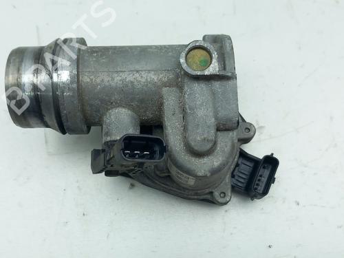 Throttle body RENAULT GRAND SCÉNIC IV (R9_) 1.5 dCi 110 (R9A3) 161A09287R