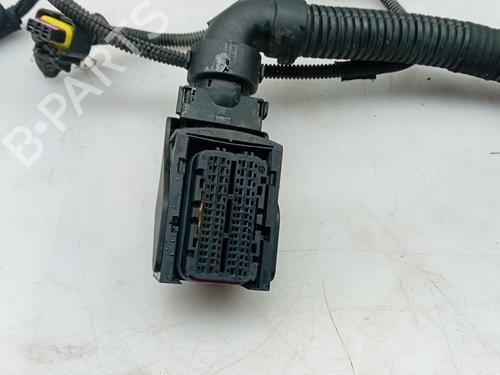 Wiring harness FIAT 500 C (312_) 1.3 D Multijet (312CXE1A, 312AXE1A) | BP22180058E16 