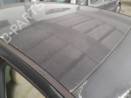 Sunroof LANCIA MUSA (350_) 1.3 D Multijet (350.AXB11, 350.AXB1A) BP28104487C124