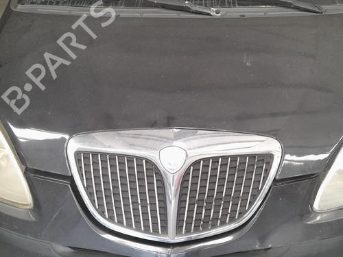 Hood LANCIA MUSA (350_) 1.3 D Multijet (350.AXB11, 350.AXB1A) BP28104489C1