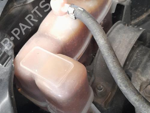 Expansion tank LANCIA MUSA (350_) 1.3 D Multijet (350.AXB11, 350.AXB1A) BP28104496C120