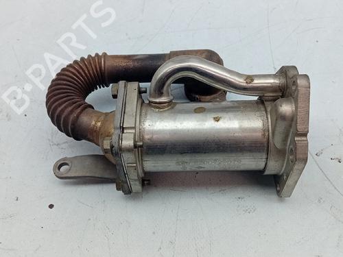 Egr RENAULT LAGUNA III (BT0/1)  | BP6015027M69