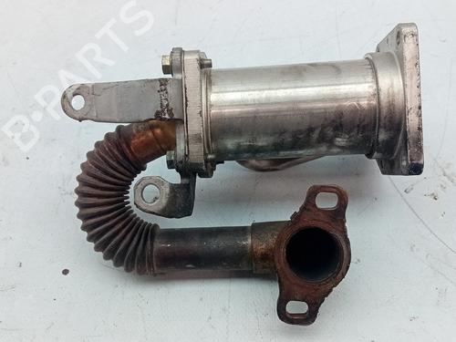 Egr RENAULT LAGUNA III (BT0/1)  | BP6015027M69