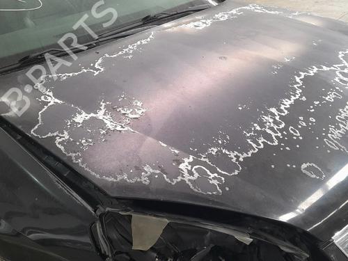 Hood OPEL VECTRA C (Z02) 1.9 CDTI (F69) | BP28607984C1 