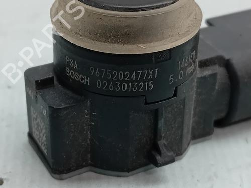 Electronic module PEUGEOT 308 II (LB_, LP_, LW_, LH_, L3_) 1.6 HDi 100 | BP29023876M83 