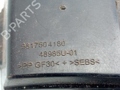 Fuel flap PEUGEOT 308 II (LB_, LP_, LW_, LH_, L3_) 1.6 HDi 100 | BP29039201C131 