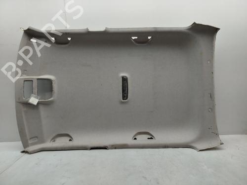 Interiør taket SKODA FABIA II (542) 1.2 (60 hp) 29041759