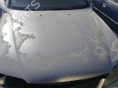 Hood OPEL VECTRA B (J96) 2.0 DTI 16V (F19) BP29155972C1
