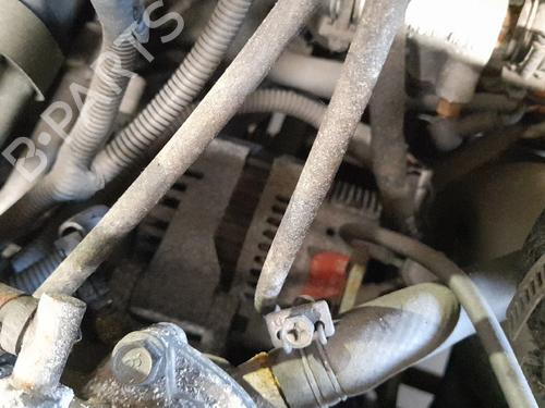 Used Alternator KIA CARNIVAL II (GQ) 2.9 TDi (126 hp) 29188031