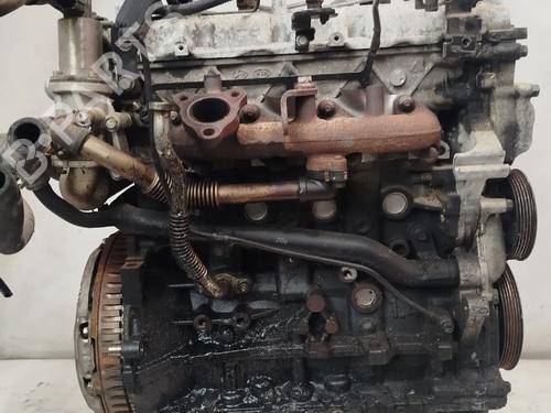 Engine KIA VENGA (YN) 1.4 CRDi 90 | BP19307196M1 