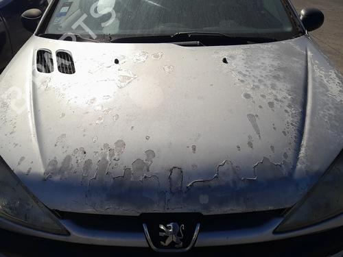 Hood PEUGEOT 206 Hatchback (2A/C) 1.1 i BP29211025C1