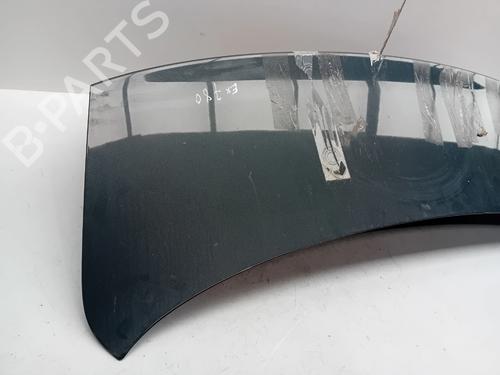 Bagklap CC/Kombi-Coupé AUDI A5 (8T3) 2.7 TDI | BP16587252C6