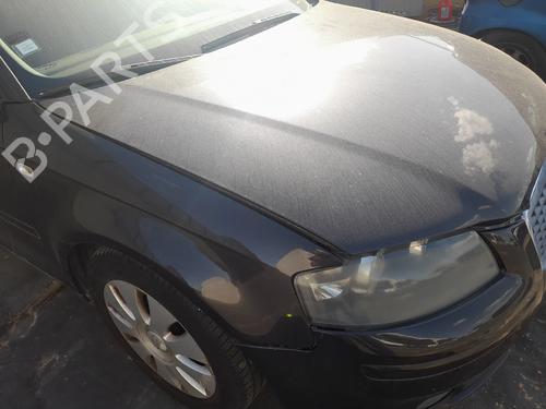Hood AUDI A3 (8P1) 1.9 TDI | BP29568860C1 