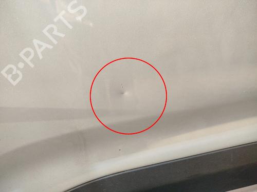 Left front door OPEL COMBO Box Body/MPV (K9) 1.5 D | BP29893910C2