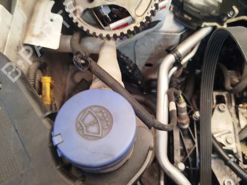 BP29893914C113 main image