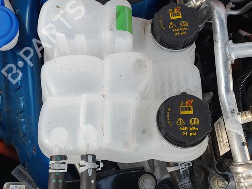 Used Expansion tank FORD KUGA III (DFK) 2.5 Duratec Plug-in-Hybrid (224 hp) 30440440