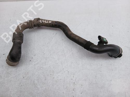Used Intercooler pipe RENAULT CLIO III (BR0/1, CR0/1) 1.5 dCi (88 hp) 30487663