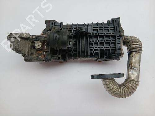 Used Egr PEUGEOT 208 II (UB_, UP_, UW_, UJ_) 1.5 BlueHDI 100 (102 hp) 30512282