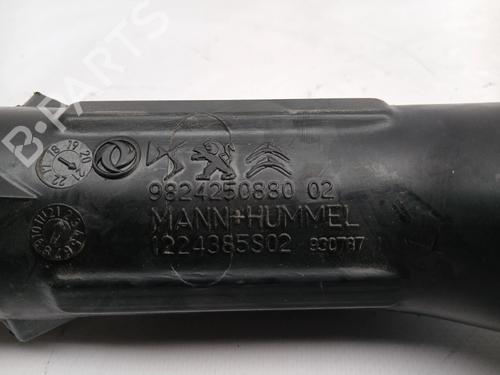 Pipe PEUGEOT 208 II (UB_, UP_, UW_, UJ_) 1.5 BlueHDI 100 | BP30518662M125