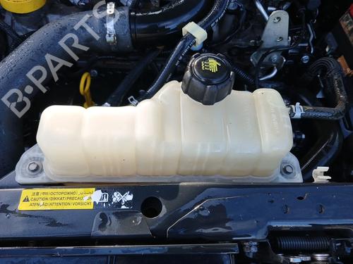 Serbatoio di espansione NISSAN JUKE (F15) 1.2 DIG-T (115 hp) 31160634