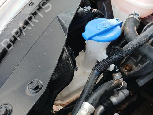 BP31161386C113 main image