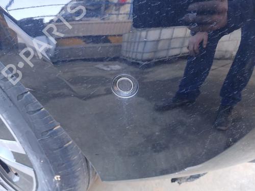 BP31173141M83 main image