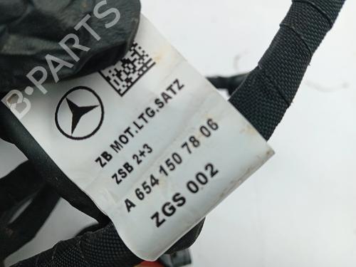 Wiring harness MERCEDES-BENZ GLE (V167) GLE 350 de 4-matic (167.106) | BP31666422E16 