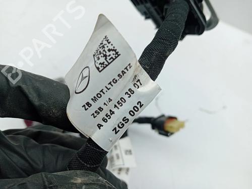 Wiring harness MERCEDES-BENZ GLE (V167) GLE 350 de 4-matic (167.106) | BP31666422E16 