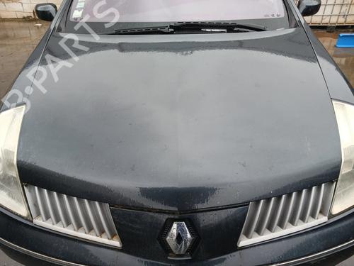 Capot Capot RENAULT VEL SATIS (BJ0_) 2.2 dCi (BJ0E, BJ0F) (150 hp) 31793295 31793295