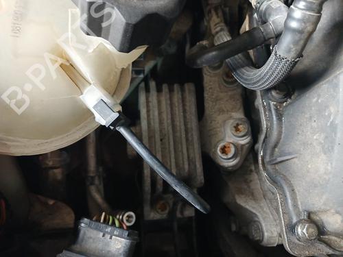 engine-mount-peugeot-207-wa_-wc_-2006-2007-2008-2009-2010-2011-2012-2013-2014-2015-31838594 main image