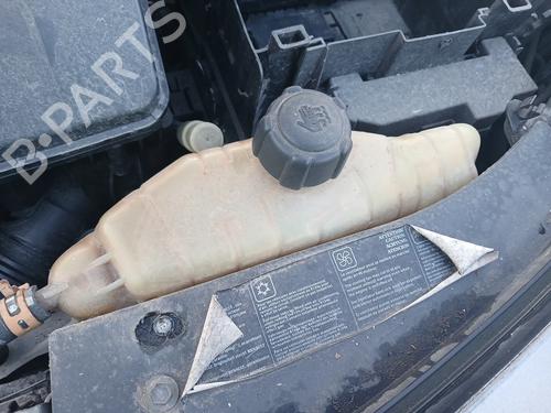 Used Expansion tank RENAULT CLIO III (BR0/1, CR0/1) 1.2 16V (BR02, BR0J, BR11, CR02, CR0J, CR11) (75 hp) 32036077