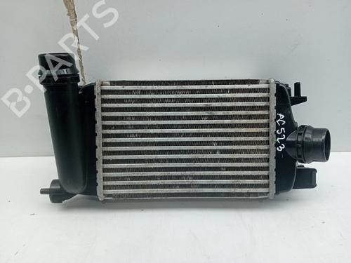Used Intercooler NISSAN MICRA V (K14) 1.5 DCI (90 hp) 30489199