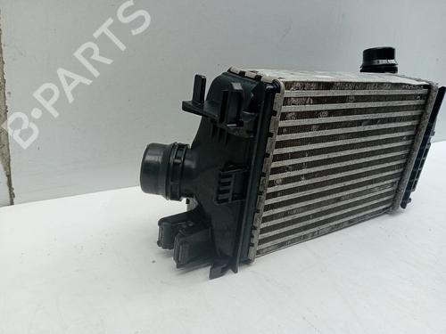 Intercooler NISSAN MICRA V (K14) 1.5 DCI | BP30489199M30 