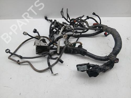 Used Wiring harness Wiring harness NISSAN QASHQAI II (J11, J11_) 1.5 dCi (110 hp) 32396311 32396311
