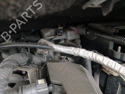 Bremseservo FORD TRANSIT CONNECT V408 Box Body/MPV 1.5 TDCi (120 hp) 33004420