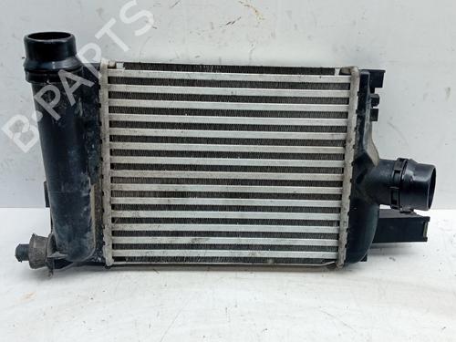 Used Intercooler Intercooler DACIA SANDERO II TCe 90 LPG (B8M1) (90 hp) 29157724 29157724
