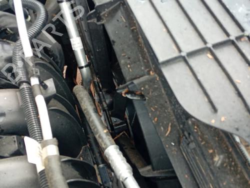 Used Radiator fan Radiator fan FORD KUGA III (DFK) 2.5 Duratec Plug-in-Hybrid (224 hp) 34346731 34346731