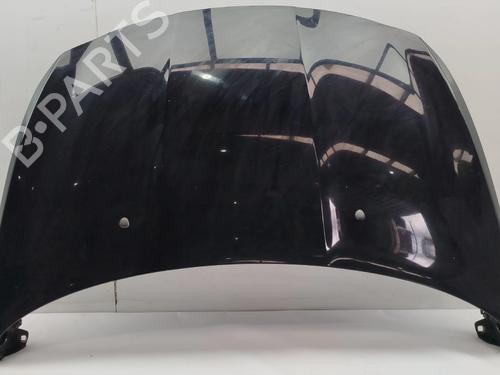 Used Hood Hood FIAT TIPO Saloon (356_, 357_) 1.4 (356SXA1B) (95 hp) 34346750 34346750