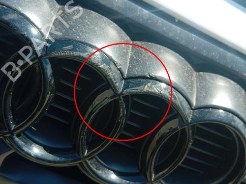 Grill AUDI A3 Sportback (8YA, 8YF) 35 TDI | BP36021701C40 - Image 5