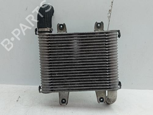 Used Intercooler Intercooler KIA CARNIVAL II (GQ) 2.9 TDi (126 hp) 29188037 29188037