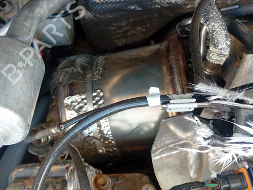 catalyst-skoda-kamiq-nw4-2019-36305112 main image