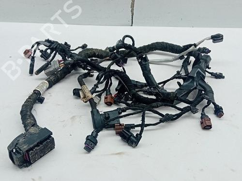 Used Wiring harness Wiring harness 36805721 36805721