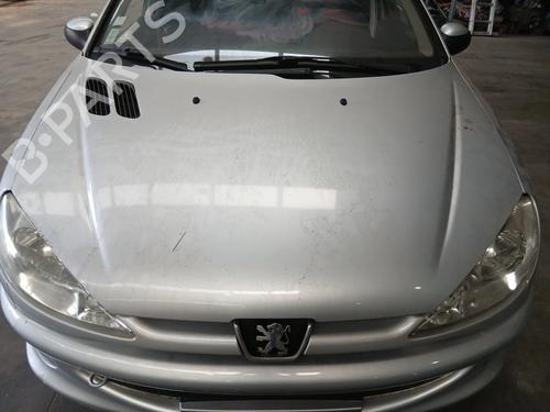 Capot Capot PEUGEOT 206 SW (2E/K) 2.0 HDi (90 hp) 37491871 37491871